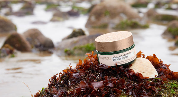 Squalane + Probiotic Gel Moisturizer