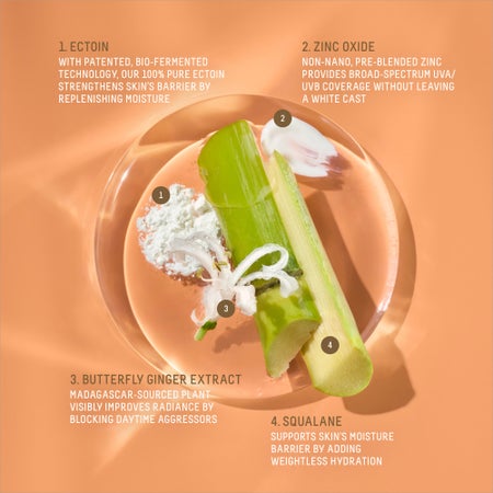 Squalane + Zinc Sheer Mineral Sunscreen Image 2