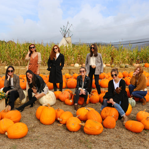 Pumpkin time!